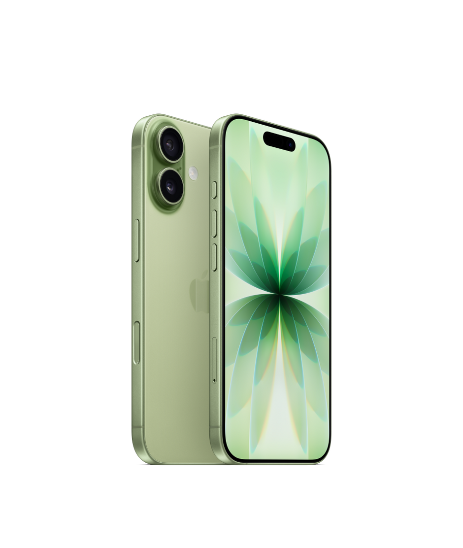 iPhone 17, Sage